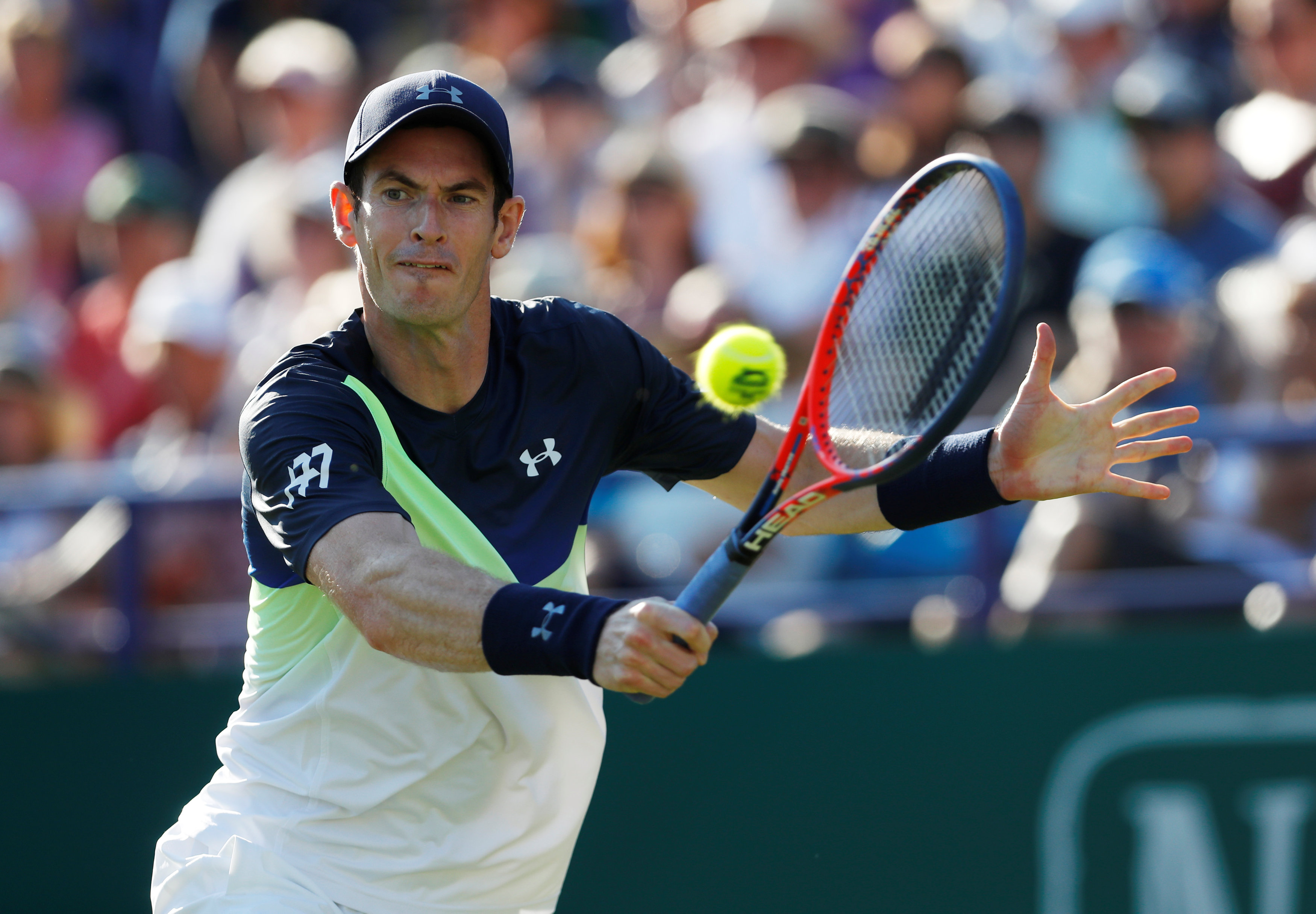 开云在线直播-日本网球队强势法国网球队，穆雷打破历史纪录