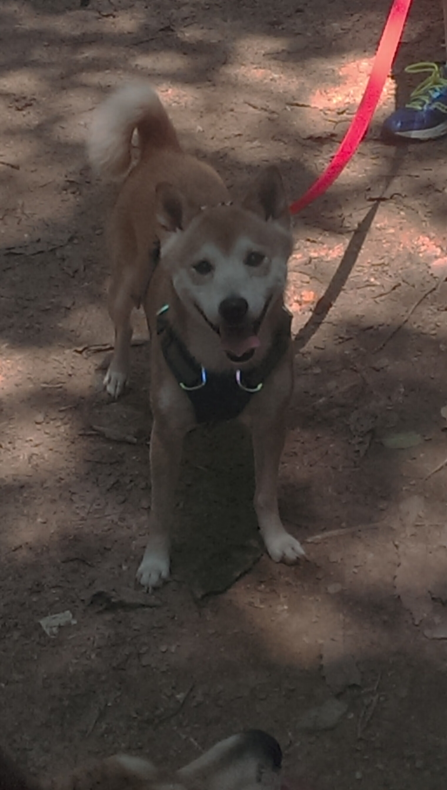 英格拉姆惊艳四座，热火式防守压制浙江—一场跨越篮球文化的战术对话