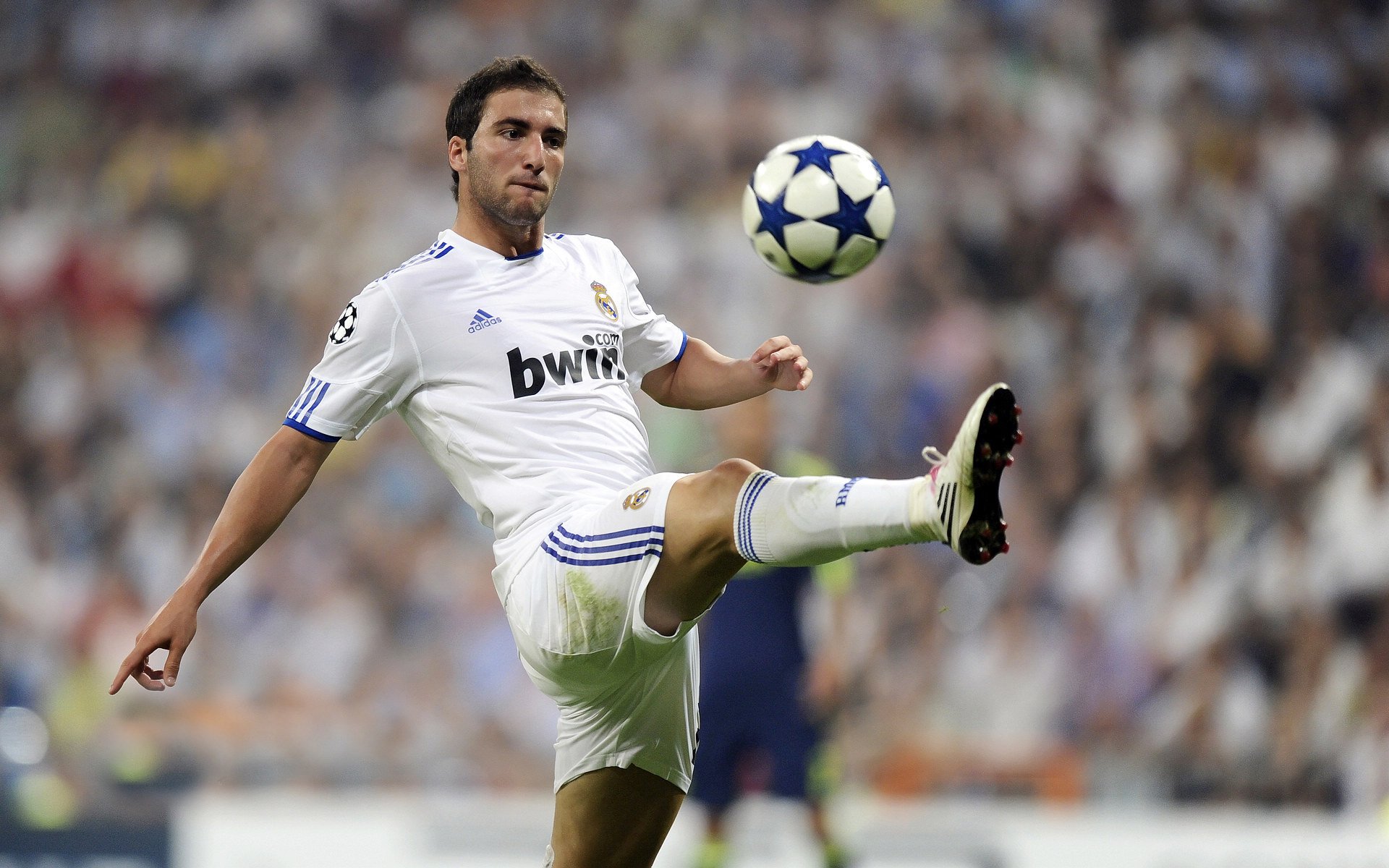 赛道与球场的双星闪耀，浓眉在F1争冠之夜的巨星启示